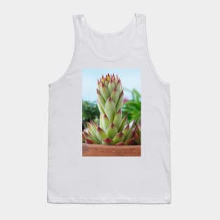 Sempervivum  'Bernstein'  Houseleek Tank Top